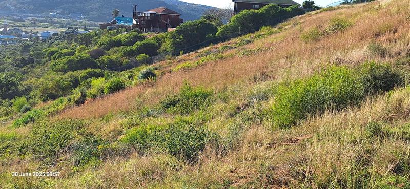 0 Bedroom Property for Sale in Groot Brakrivier Central Western Cape